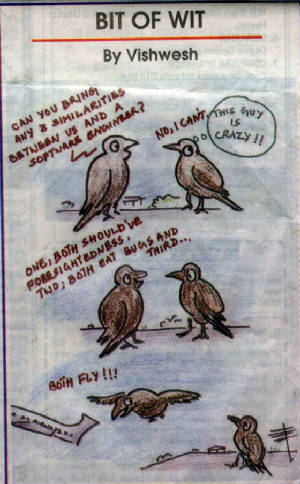 birds_se.jpg